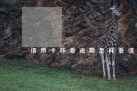 信用卡咋看逾期(怎样看信用卡逾期)