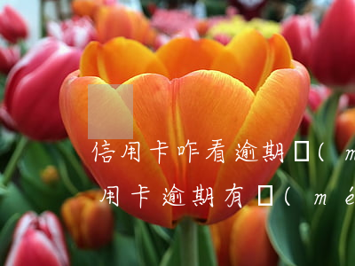 信用卡咋看逾期沒(méi)有啊(怎么看信用卡逾期有沒(méi)有上征信)