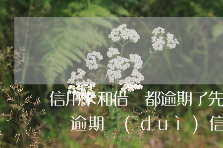 信用卡和借唄都逾期了先還哪個(gè)(借唄逾期對(duì)信用卡額度有影響嗎)