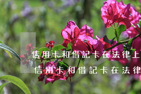 信用卡和借記卡在法律上的區(qū)別-信用卡和借記卡在法律上的區(qū)別是什么