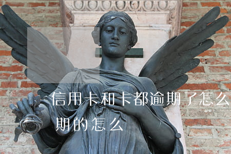 信用卡和卡都逾期了怎么辦(這么多信用卡逾期的怎么辦)