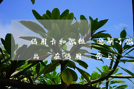 信用卡和微粒貸逾期了(微粒貸沒有逾期也會出現在信用報告上嗎)