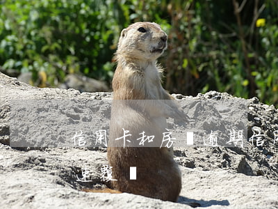 信用卡和房貸逾期(信用卡和房貸逾期如何快速覆蓋)