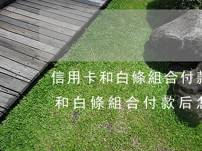 信用卡和白條組合付款后怎么還款-信用卡和白條組合付款后怎么還款呢