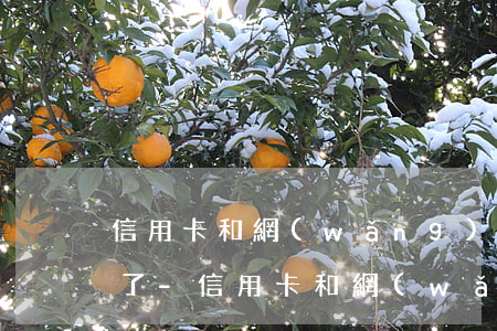 信用卡和網(wǎng)商貸欠90萬還不了-信用卡和網(wǎng)商貸欠90萬還不了怎么辦