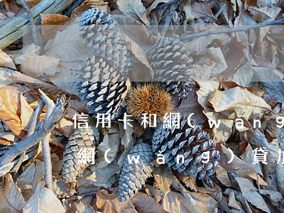 信用卡和網(wǎng)貸一共欠30多萬(網(wǎng)貸加信用卡欠款40萬)