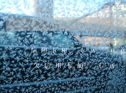 信用卡和網(wǎng)貸一共欠了31萬(欠信用卡加網(wǎng)貸總共三十萬)