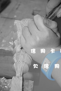 信用卡和網(wǎng)貸一共欠了7萬多(欠信用卡加網(wǎng)貸總共三十萬)