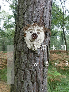 信用卡和網(wǎng)貸共欠25萬(網(wǎng)貸和信用卡欠了十幾萬,應(yīng)該怎么辦?)