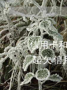 信用卡和網(wǎng)貸共欠50萬還不起(欠信用卡網(wǎng)貸50萬無力償還會坐牢嗎)