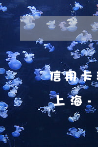信用卡和網(wǎng)貸可以停息掛賬嗎上海-網(wǎng)貸可以停息掛賬嗎?