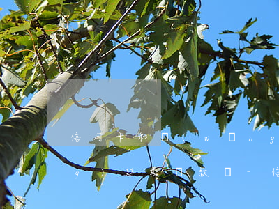 信用卡和網(wǎng)貸可申請(qǐng)延期還款嗎-信用卡和網(wǎng)貸可申請(qǐng)延期還款嗎知乎