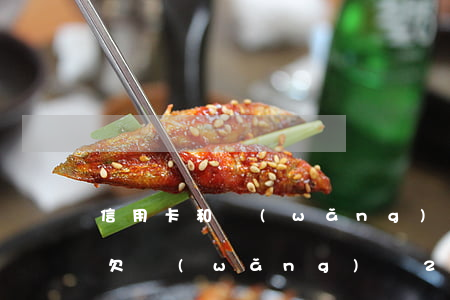 信用卡和網(wǎng)貸欠15萬怎么辦(欠網(wǎng)貸25萬信用卡25萬還不上)
