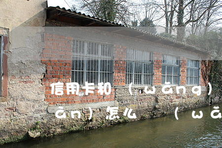 信用卡和網(wǎng)貸欠了10萬(wàn)怎么辦(網(wǎng)貸和信用卡一共欠了,10萬(wàn) 怎么辦)