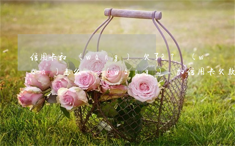 信用卡和網(wǎng)貸欠了27萬(wàn)怎么辦(網(wǎng)貸加信用卡欠款80萬(wàn))