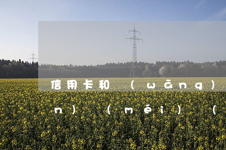 信用卡和網(wǎng)貸欠了6萬(wàn)沒(méi)錢(qián)還(信用卡和網(wǎng)貸欠了6萬(wàn)沒(méi)錢(qián)還)