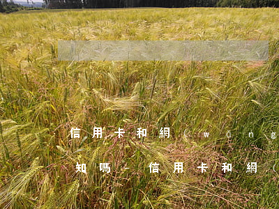 信用卡和網(wǎng)貸起訴了法院會通知嗎-信用卡和網(wǎng)貸起訴了法院會通知嗎怎么辦