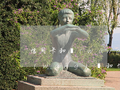 信用卡和網(wǎng)貸逾期一年(所有網(wǎng)貸和信用卡逾期了)
