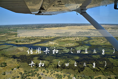 信用卡和網(wǎng)貸逾期一樣嗎(信用卡和網(wǎng)貸逾期一樣嗎)