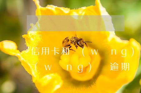 信用卡和網(wǎng)貸逾期了怎么辦(網(wǎng)貸逾期與信用卡逾期的后果)