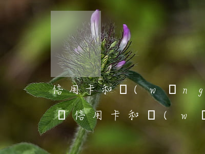 信用卡和網(wǎng)貸逾期五次會怎么樣（信用卡和網(wǎng)貸逾期五次）