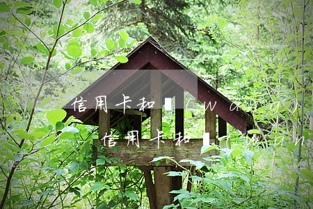 信用卡和網(wǎng)貸逾期多久上征信-信用卡和網(wǎng)貸逾期多久上征信報(bào)告