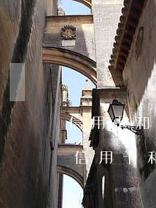 信用卡和網(wǎng)貸逾期天天被催收(信用卡和網(wǎng)貸逾期天天被催收怎么辦)