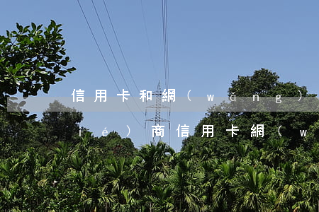 信用卡和網(wǎng)貸逾期怎么協(xié)商(信用卡網(wǎng)貸逾期怎么協(xié)商還本金)