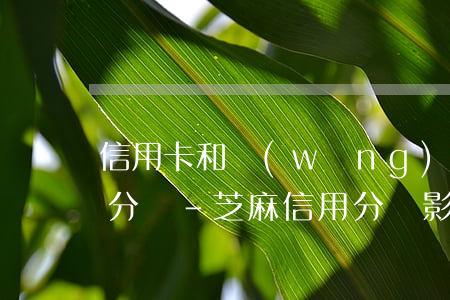 信用卡和網(wǎng)貸逾期會影響芝麻分嗎-芝麻信用分會影響銀行貸款嗎
