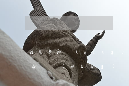信用卡和網(wǎng)貸逾期會查封按揭房嗎 網(wǎng)貸逾期會查封房子嗎