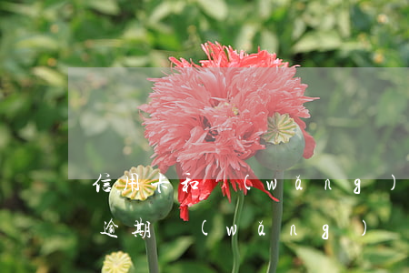 信用卡和網(wǎng)貸逾期有什么后果(逾期網(wǎng)貸會(huì)影響信用卡嗎)