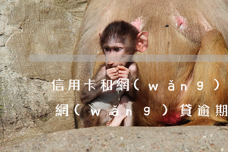 信用卡和網(wǎng)貸逾期有什么好處(網(wǎng)貸逾期和信用卡逾期,哪個(gè)后果更嚴(yán)重?)