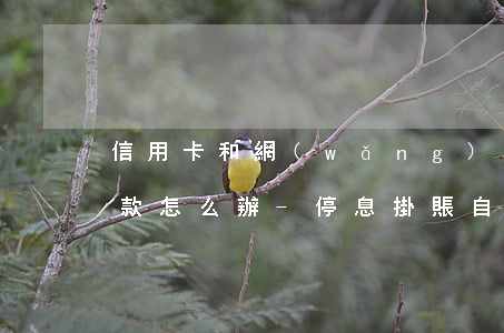 信用卡和網(wǎng)貸都逾期了無力還款怎么辦-停息掛賬自己怎么去申請