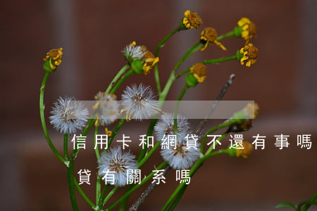 信用卡和網貸不還有事嗎(信用卡下不來跟網貸有關系嗎)