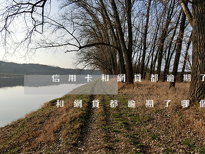 信用卡和網貸都逾期了哪個影響大-信用卡和網貸都逾期了哪個影響大些