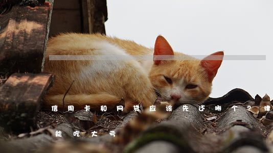 信用卡和网贷应该先还哪个？律师：还错了可能吃大亏！