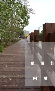 信用卡和网贷欠50万还不起了-信用卡和网贷欠50万还不起了怎么办