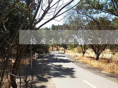 信用卡和网贷欠了10万怎么办(网贷和信用卡一共欠了,10万 怎么办)