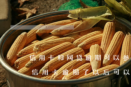 信用卡和网贷逾期可以参加法考嘛-网贷和信用卡逾期了以后可以坐飞机吗?