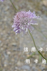 信用卡和网贷逾期能考事业单位吗(事业编信用卡逾期会影响工作吗)