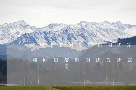 信用卡和网贷都逾期优先还款那边-信用卡和网贷都逾期优先还款那边怎么办