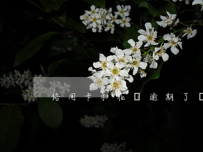 信用卡和花唄逾期了會怎樣