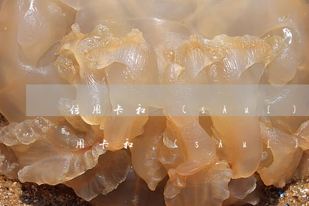 信用卡和誰(shuí)協(xié)商(信用卡和誰(shuí)協(xié)商還本金)