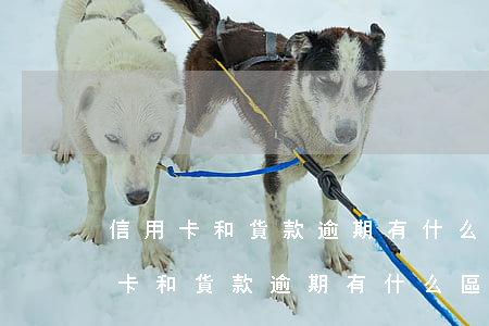信用卡和貨款逾期有什么區(qū)別(信用卡和貨款逾期有什么區(qū)別)