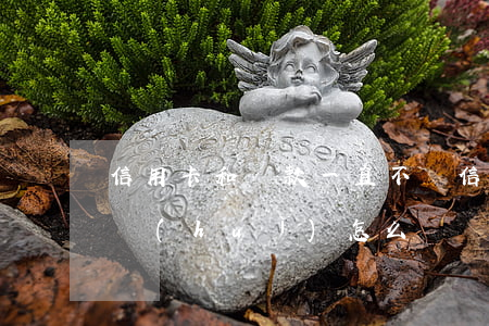 信用卡和貸款一直不還(信用卡一直欠款不還會(huì)怎么樣)