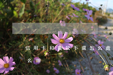 信用卡和貸款不還怎么處理(借信用卡不還怎么辦)