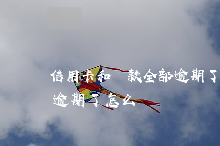 信用卡和貸款全部逾期了(所有的貸款信用卡逾期了怎么辦)