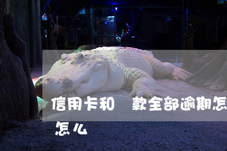 信用卡和貸款全部逾期怎么辦(信用卡 逾期了怎么辦)