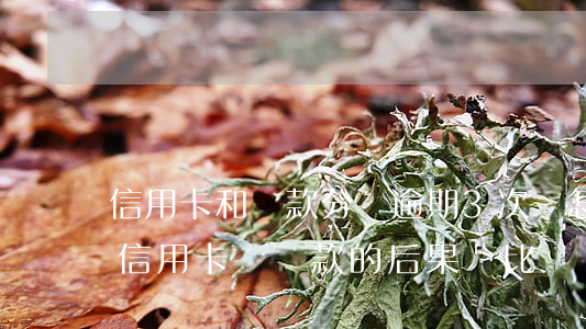 信用卡和貸款分別逾期3次會怎樣，三次逾期：信用卡與貸款的后果對比