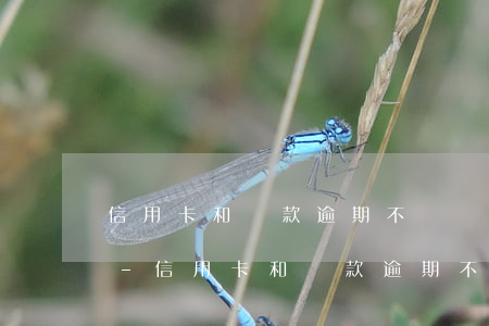 信用卡和貸款逾期不還會(huì)怎么樣-信用卡和貸款逾期不還會(huì)怎么樣嗎